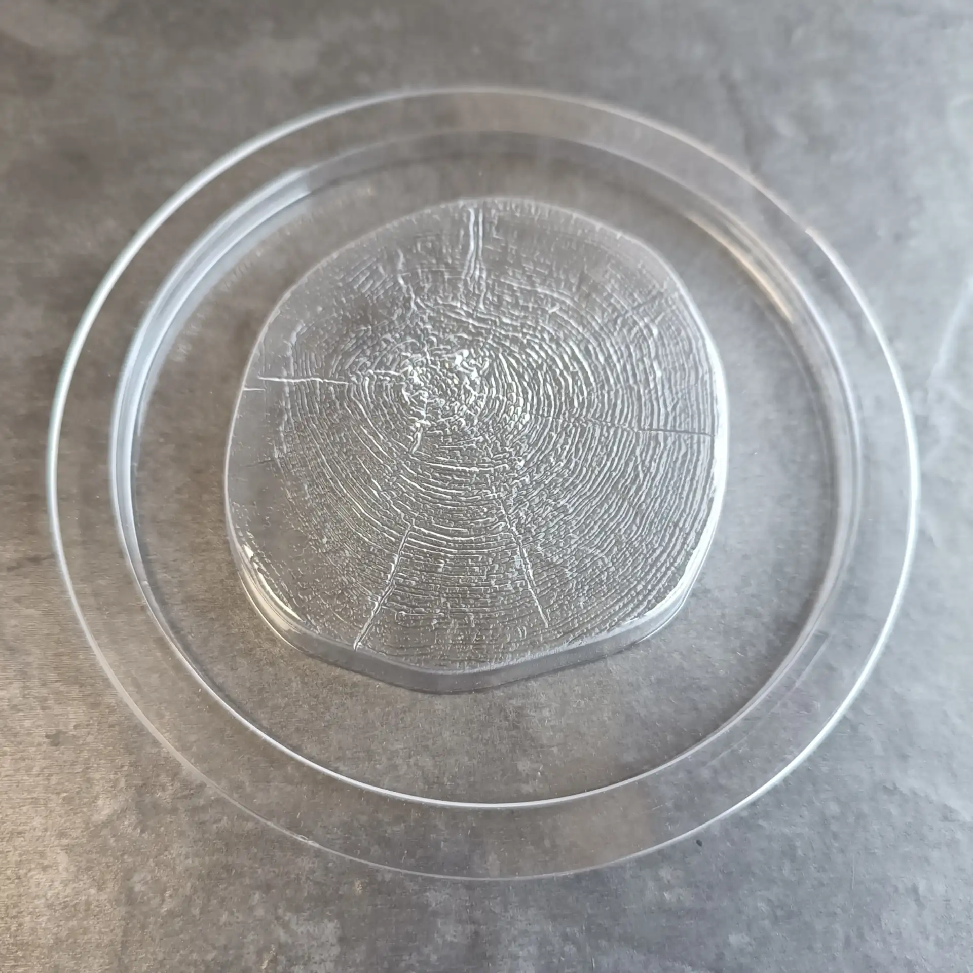 Chocolate mould for chocolate wood